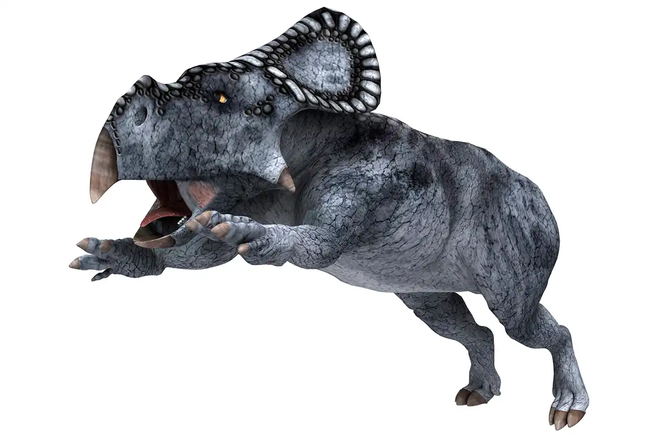 プロトケラトプス（Protoceratops） | 探そう！好きな恐竜