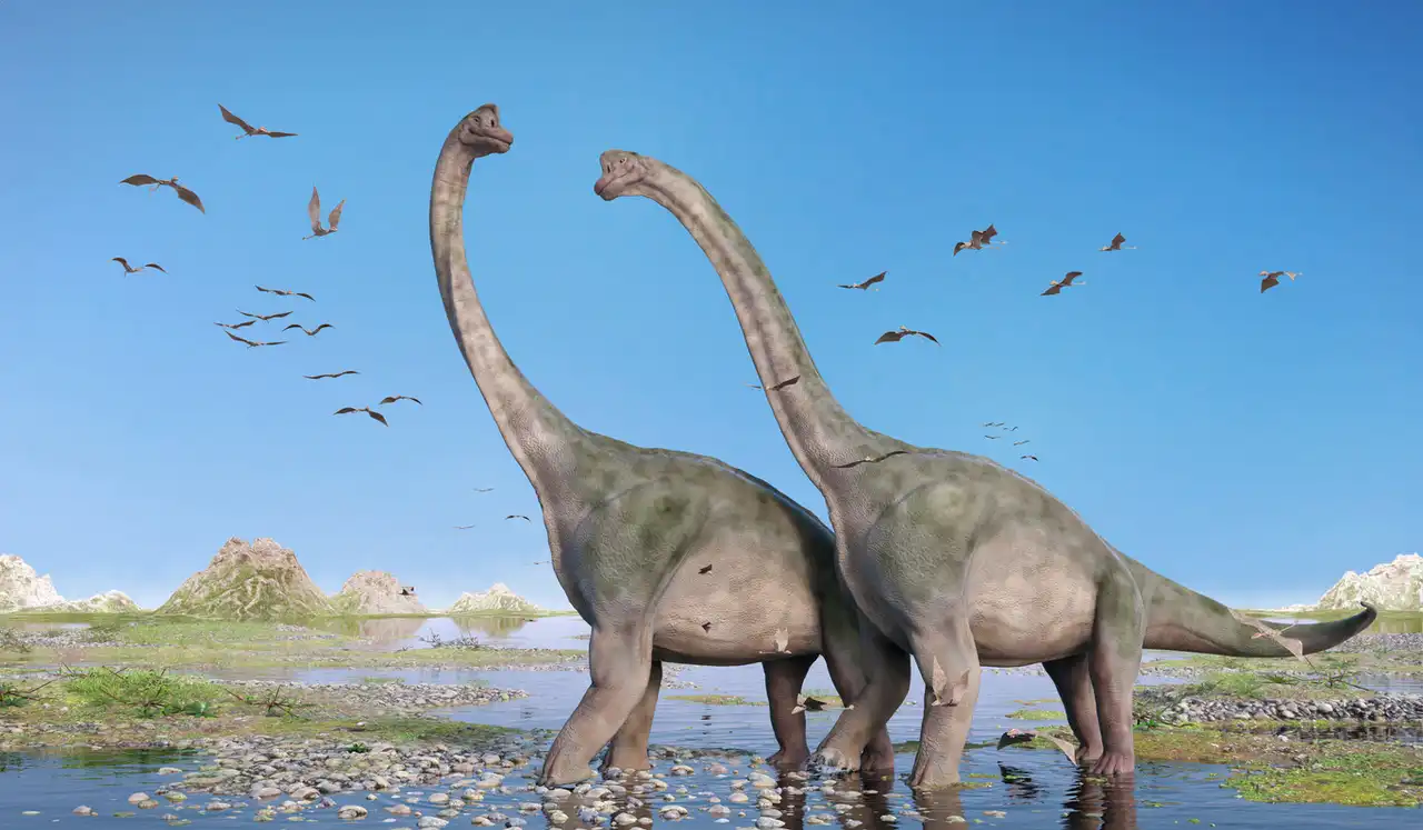 ブラキオサウルス（Brachiosaurus） | 探そう！好きな恐竜