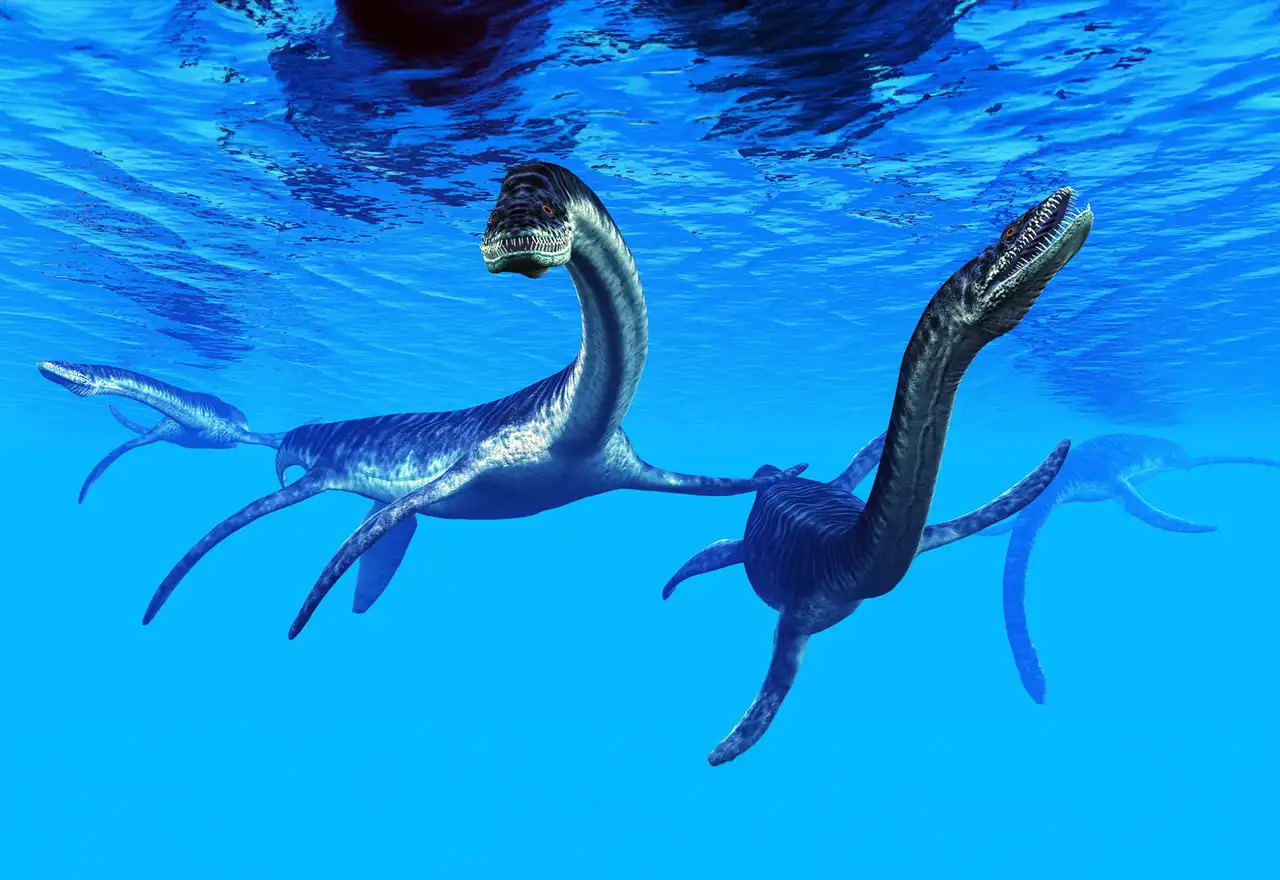 プレシオサウルス（Plesiosaurus） | 探そう！好きな恐竜