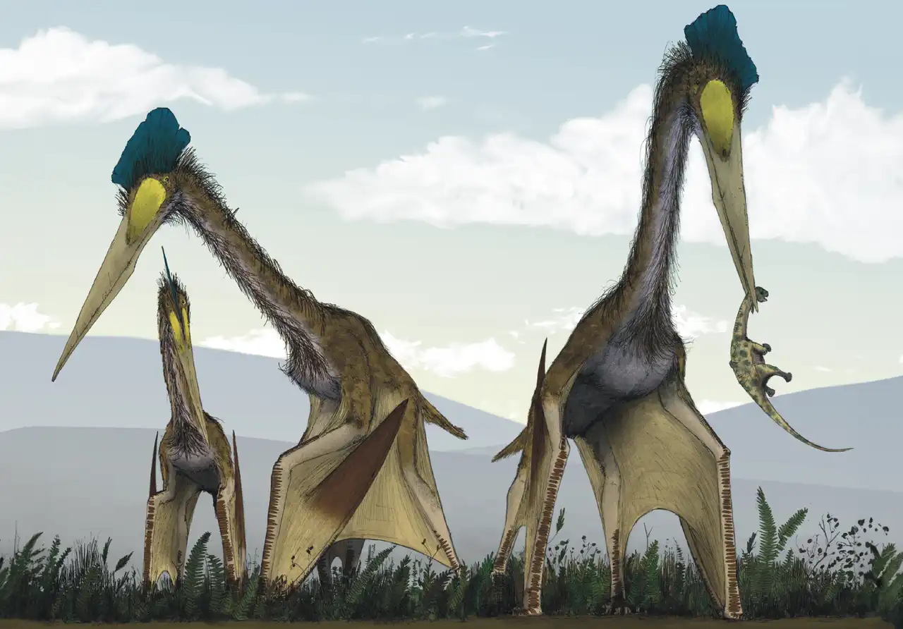 ケツァルコアトルス（Quetzalcoatlus） | 探そう！好きな恐竜