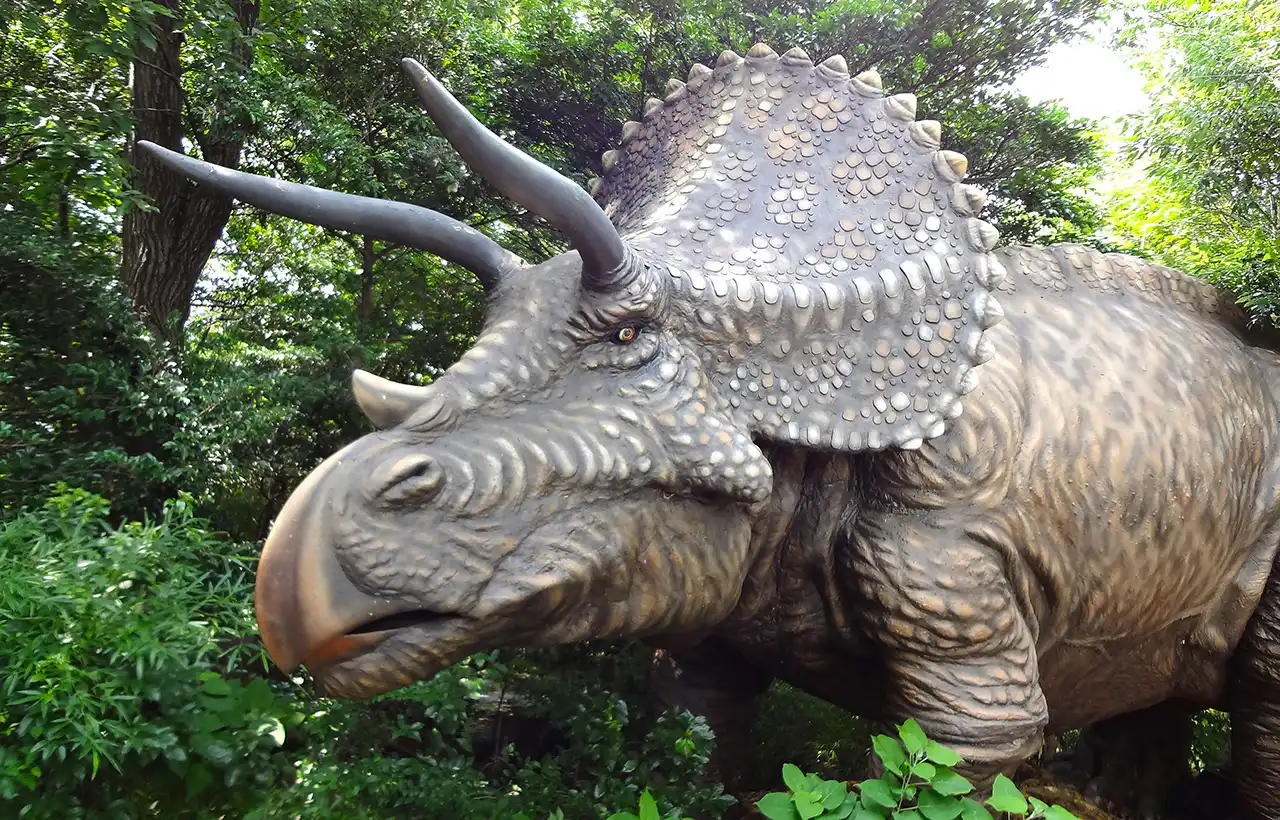 トリケラトプス（Triceratops） | 探そう！好きな恐竜