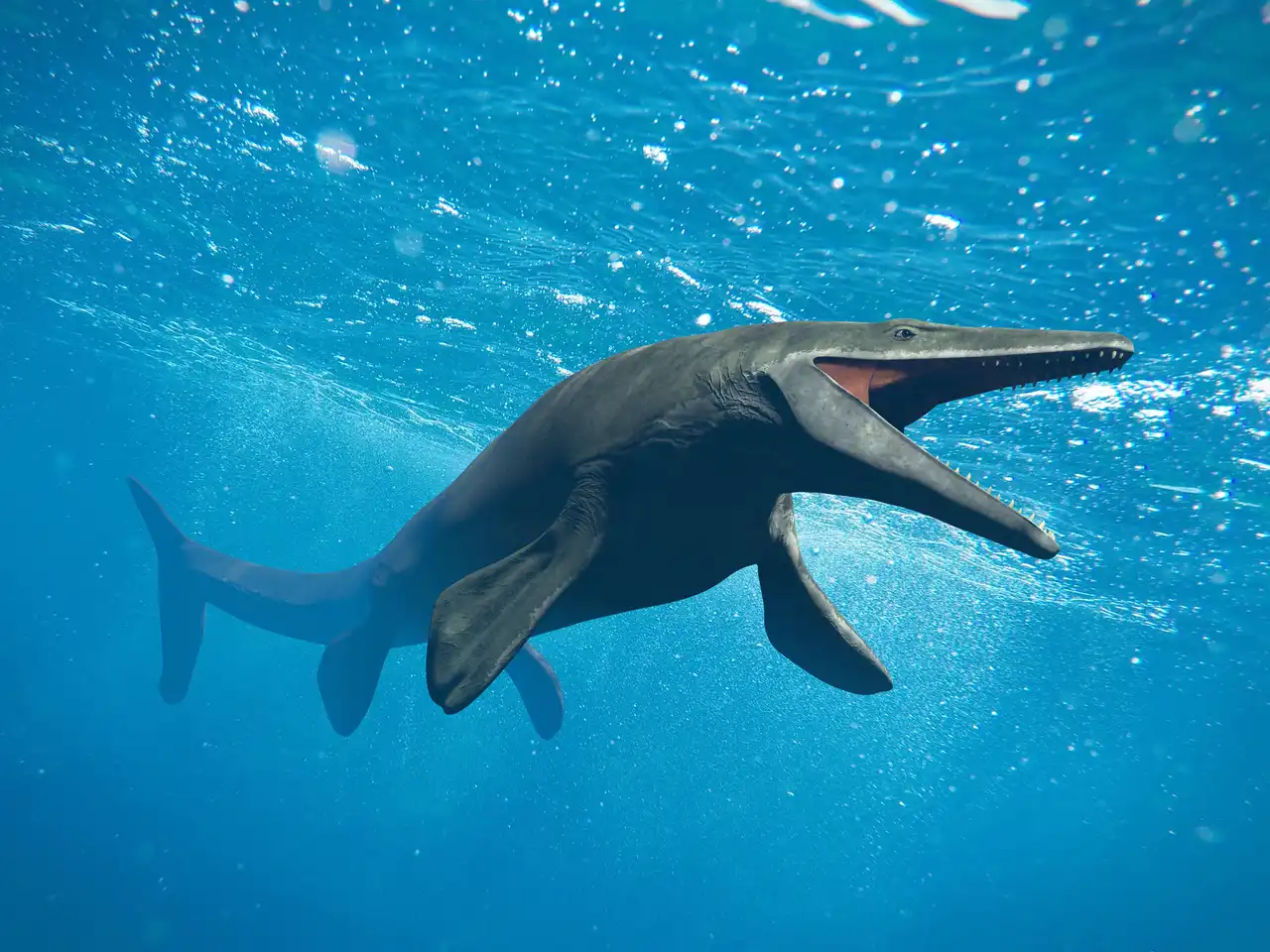 モササウルス（Mosasaurus） | 探そう！好きな恐竜