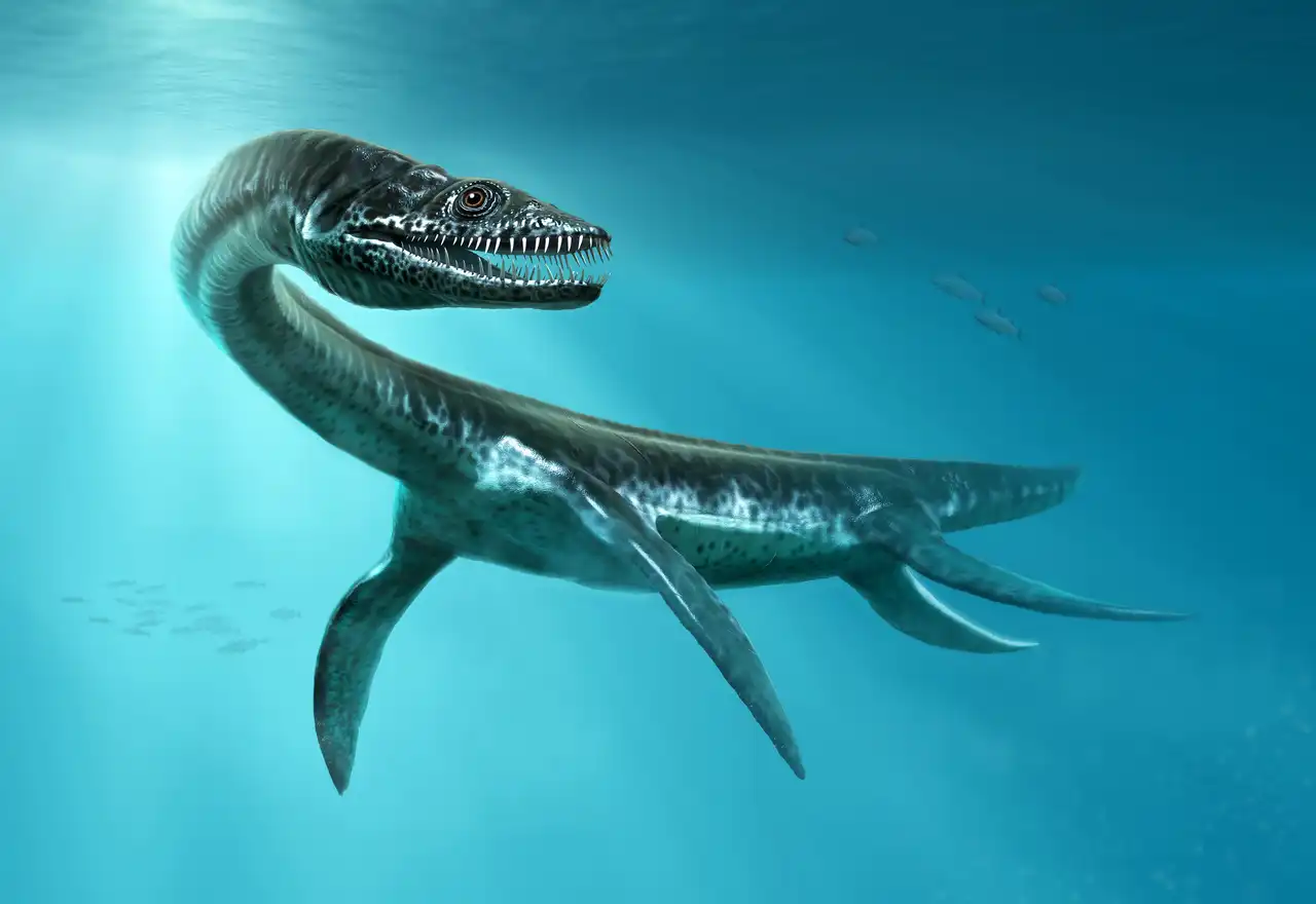 プレシオサウルスPlesiosaurs プレシオサウルス